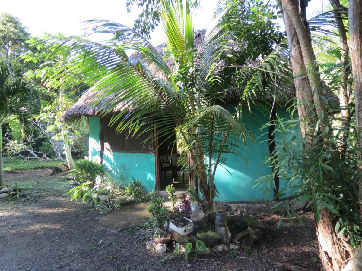 Cabanas Calakmul Villa Conhuas Dış mekan fotoğraf