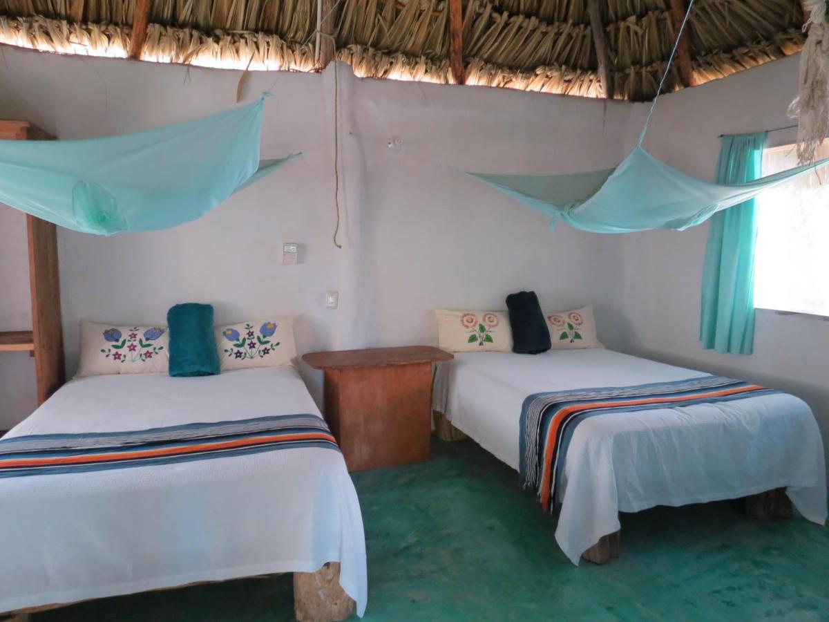 Cabanas Calakmul Villa Conhuas Dış mekan fotoğraf