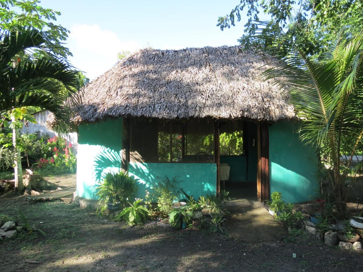 Cabanas Calakmul Villa Conhuas Dış mekan fotoğraf