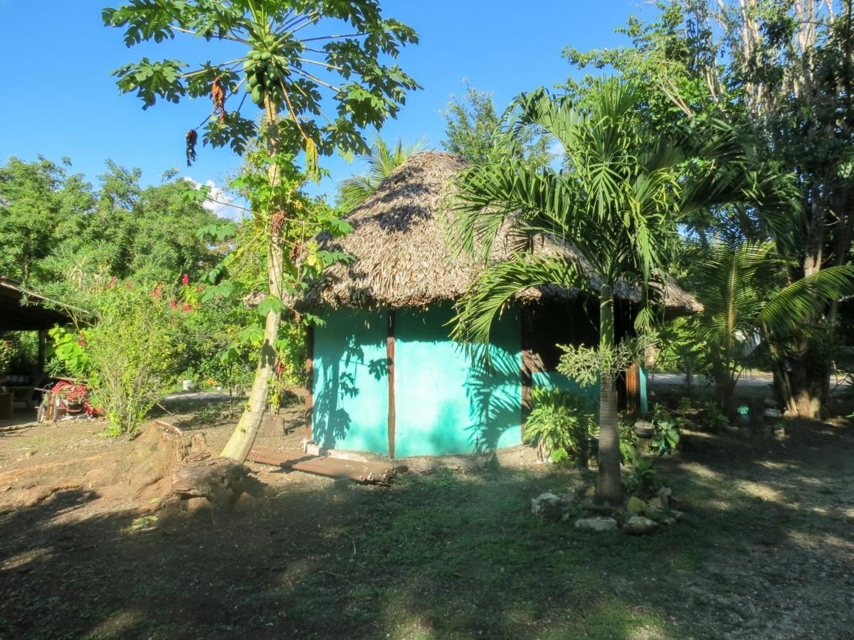 Cabanas Calakmul Villa Conhuas Dış mekan fotoğraf