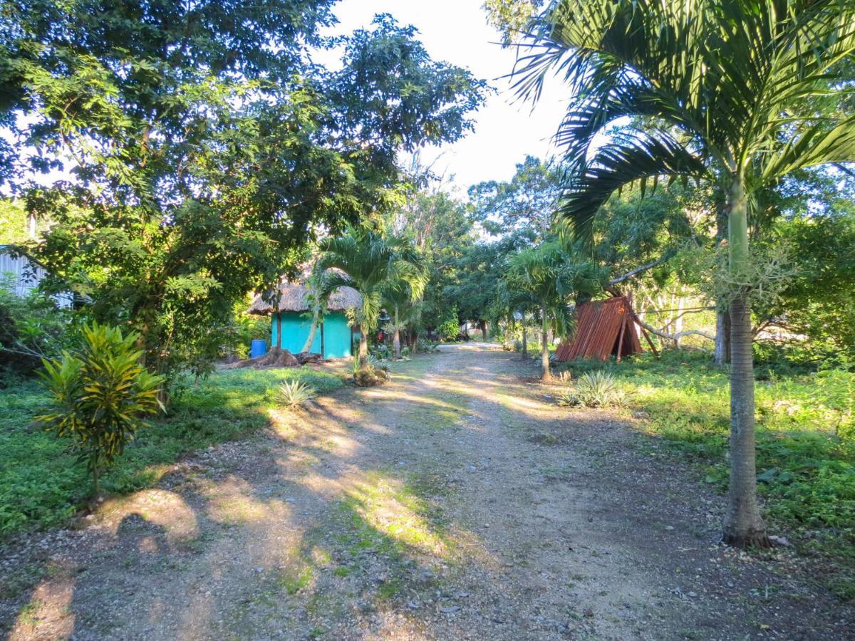 Cabanas Calakmul Villa Conhuas Dış mekan fotoğraf