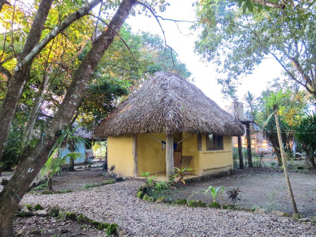 Cabanas Calakmul Villa Conhuas Dış mekan fotoğraf