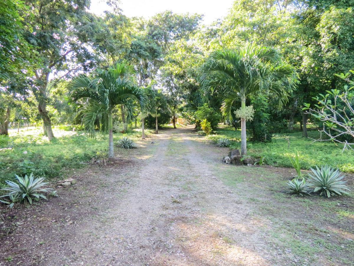 Cabanas Calakmul Villa Conhuas Dış mekan fotoğraf