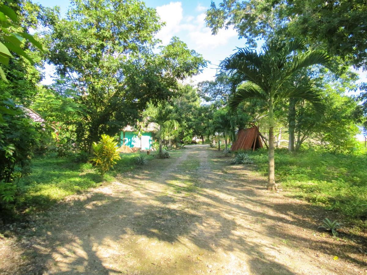 Cabanas Calakmul Villa Conhuas Dış mekan fotoğraf