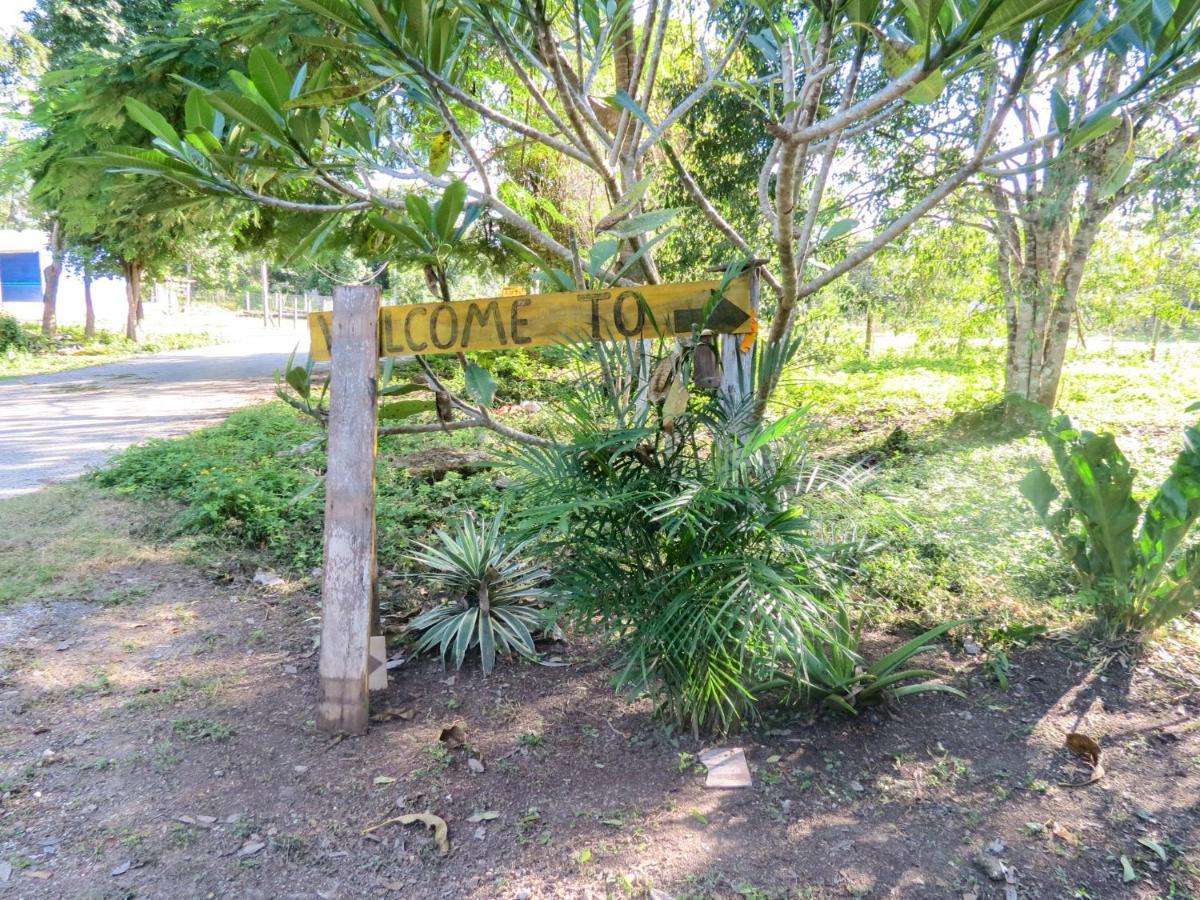 Cabanas Calakmul Villa Conhuas Dış mekan fotoğraf