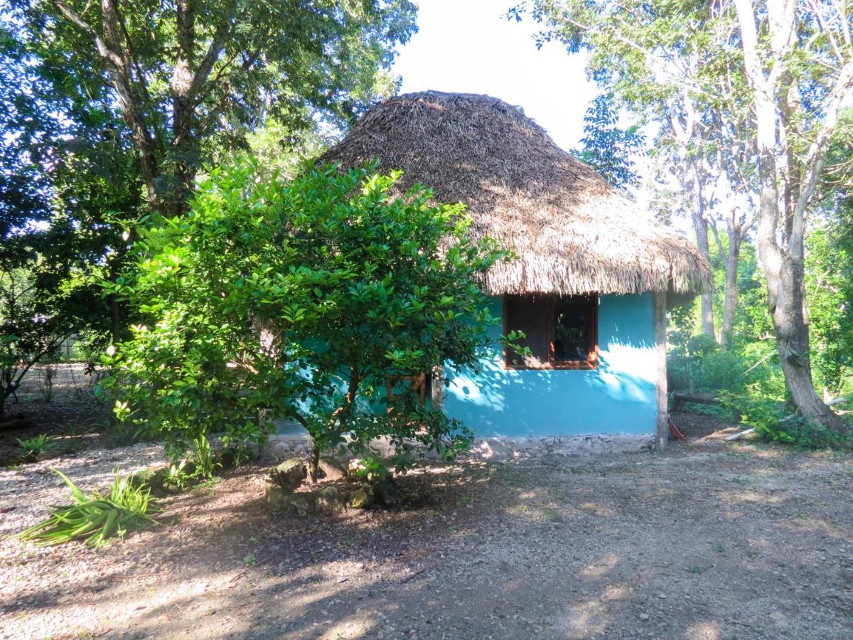 Cabanas Calakmul Conhuas Dış mekan fotoğraf