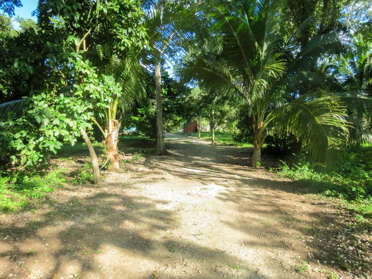 Cabanas Calakmul Villa Conhuas Dış mekan fotoğraf